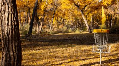 dieterle_disc_golf_photos-2.jpg